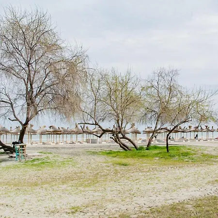 アパート Alezzi Sylver 2 *